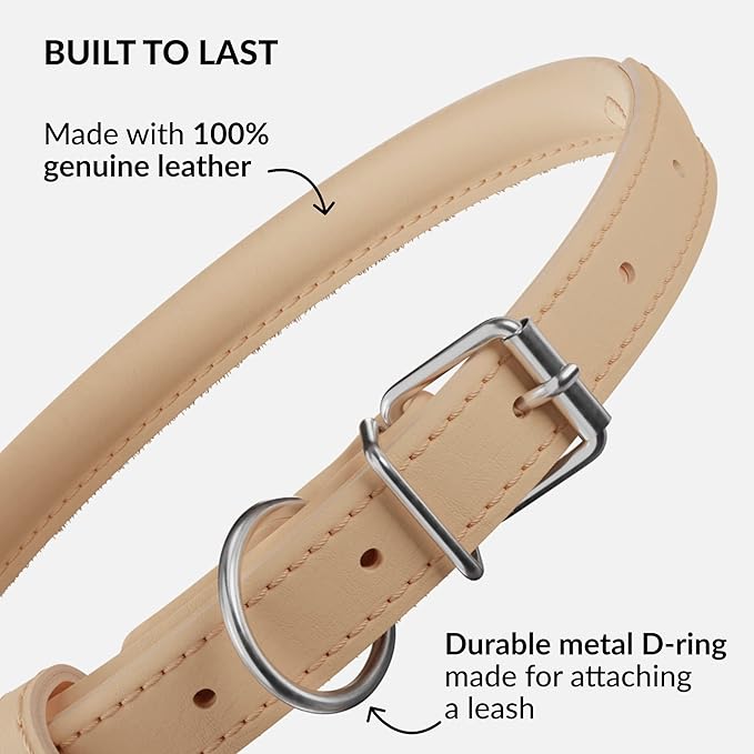 CollarDirect Rolled Leather Dog Collar, Soft Padded Round Puppy Collar, Handmade Genuine Leather Collar Dog Small Large Cat Collars 13 Colors (15-19 Inch, Beige Smooth)