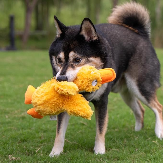 Best Pet Supplies Ducky Doodle Squeaky Crinkle Plush Toy for Small and Medium Breed Puppies or Dogs – Ducky Doodle (Gold), Large