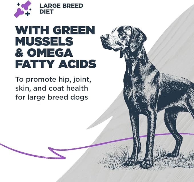 Blackwood Large Breed Dry Dog Food, Whitefish with Ancient Grains, 24 Pound Bag for Adult Dogs, Slow Cooked with Green Mussels to Promote Hip & Joint Health