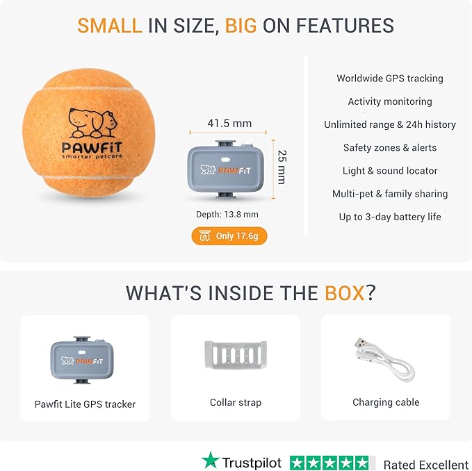 Lite for Small Dogs 4g GPS Tracker | Real Time Tracking | Activity Monitoring |Location History | Unlimited Range | Lilac Grey