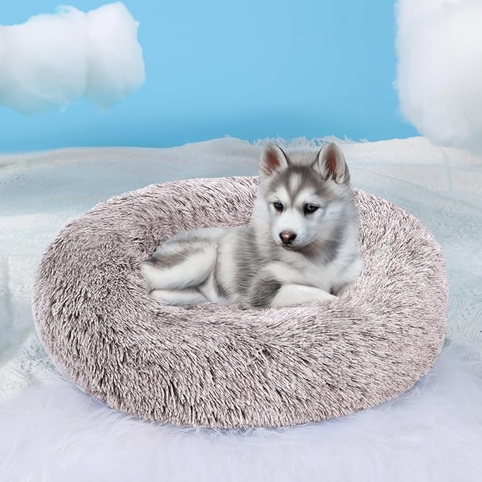 HYQ Small Dog Bed, Pet Beds for Small Dogs, Cat Beds for Indoor Cats, Fluffy Faux Fur Plush Small Dog Bed, Washable Puppy Bed with Anti-Slip Bottom, Dog Bed Small Size Dog (Coffee, 20 Inch)
