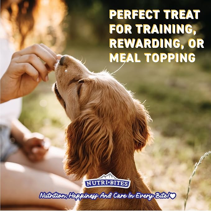 Nutri Bites Freeze Dried Salmon Dog & Cat Treats 4 oz | Healthy Pet Training Treats or Food Topper | All Natural, 1 Single Animal Protein, High Protein