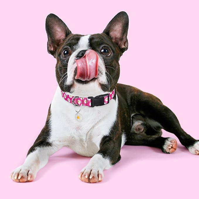 BiPawTi Floral Dog Collars for Large Dog - Soft Cute Dog Collars for Girls Dog Pretty Flower Collar with Daisies Charms, Gift for Female Male Boys Girls Dogs (L, Pink)