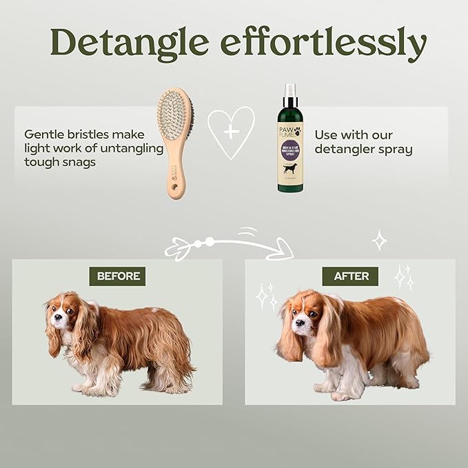 PAWFUME 2-in-1 Pet Brush – Dog Hair Brush – Cat Hair Brush – Dog Grooming Brush – Cat Grooming Brush – Soft Dog Brush for Long Haired Dogs – Soft Cat Brush for Long Haired Cats – Short Hair Dog Brush