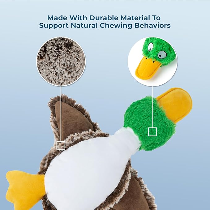 Best Pet Supplies Interactive Mallard Mates Dog Toy with Crinkle and Squeaky Enrichment for Small and Medium Breed Puppies or Dogs, Cute and Plush - Mallard Duck (Gray), Small