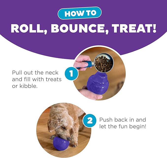 Outward Hound by Planet Dog Lil' Snoop Interactive Treat Dispensing Dog Toy, Small, Purple
