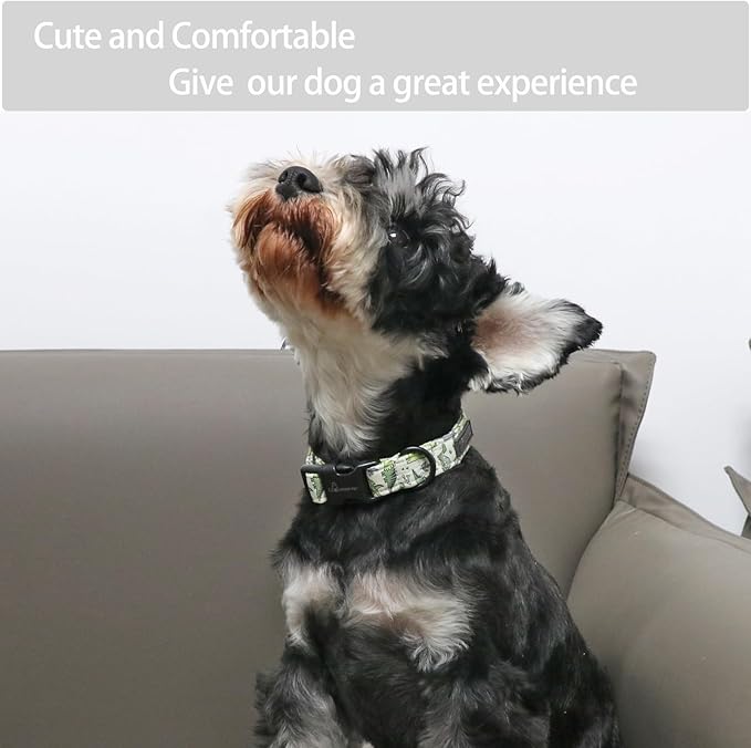 ARING PET Dinosaur Dog Collar-Cute Dog Collar for Small Dogs, Adjustable Comfortable Cotton Boy Dog Collars for Small Medium Large Dogs, X-Small