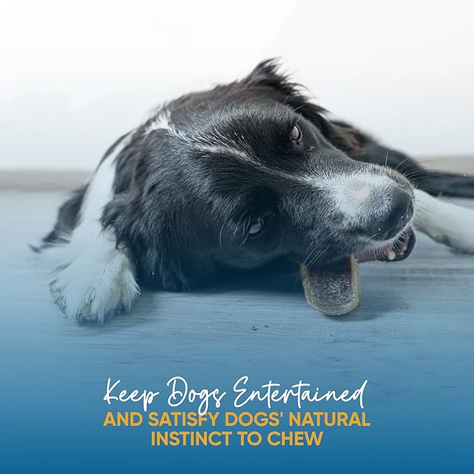 Filled Cow Hooves for Dogs, Delicious Cheese & Bacon Flavor, Stuffed Natural Beef Hoof Dog Chews, Tasty Treats for Dog, Made from Premium Brazilian Cattle, Pack of 10 Count