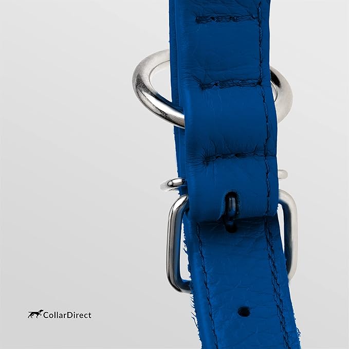 CollarDirect Rolled Leather Dog Collar, Soft Padded Round Puppy Collar, Handmade Genuine Leather Collar Dog Small Large Cat Collars 13 Colors (12-15 Inch, Dark Blue Textured)