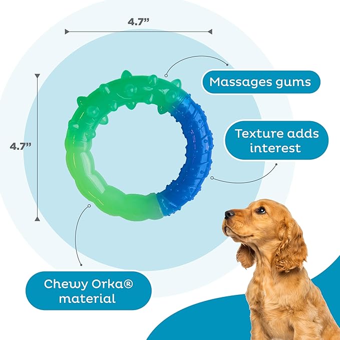 Petstages Orka Grow-with-Me-Ring Dog Chew Toy