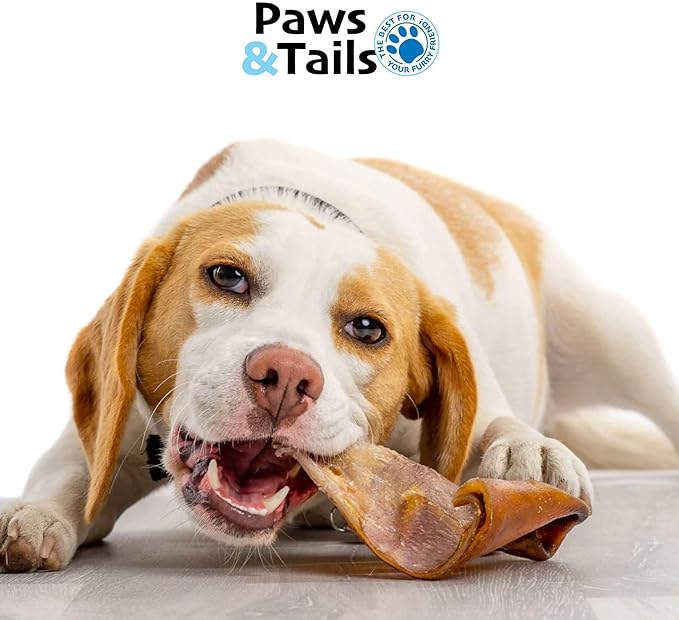 PAWS&TAILS Premium All-Natural Pig Ears for Dogs - Joint Health Support, Thick-Cut - High-Protein, Low-Fat Treats for Dental Hygiene - No Additives or Preservatives. (24, Natural Whole Pig Ears)