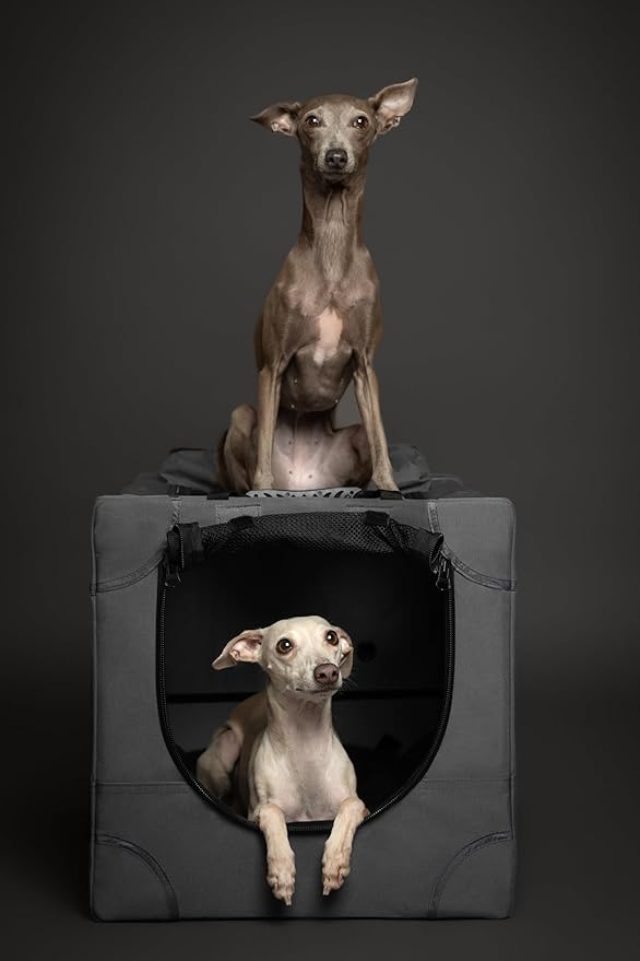 Noah & Paw Collapsible Dog Crate 26 Inch, Small Dog Crate for Small Medium Breeds, Travel Kennel for Car, Including Pet Mat for Pet Cage, 2 Storage Pockets, Handbag, 10mm Locking Zipper 26 * 17 * 17