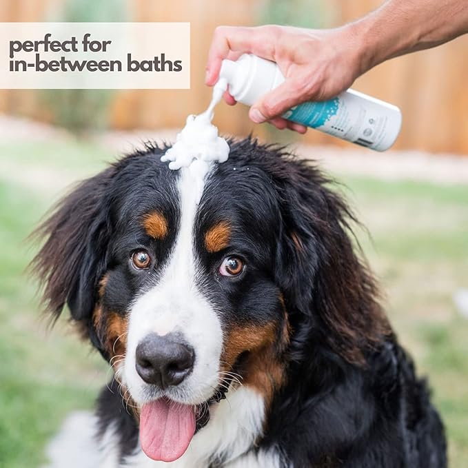Mighty Mutt Waterless Dry Shampoo for Dogs (Fresh Breeze) + Refill | Hypoallergenic, De-Shedding and De-Tangling Deodorizing Foam Shampoo | 2 Pack Bundle
