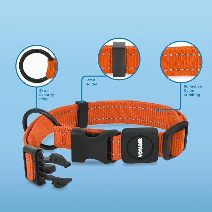 Voyager Reflective Dog Leash Collar Set with Neoprene Handle Supports Small, Medium, and Large Breed Puppies, Cute and Heavy Duty for Walking, Running, and Training - Orange, S