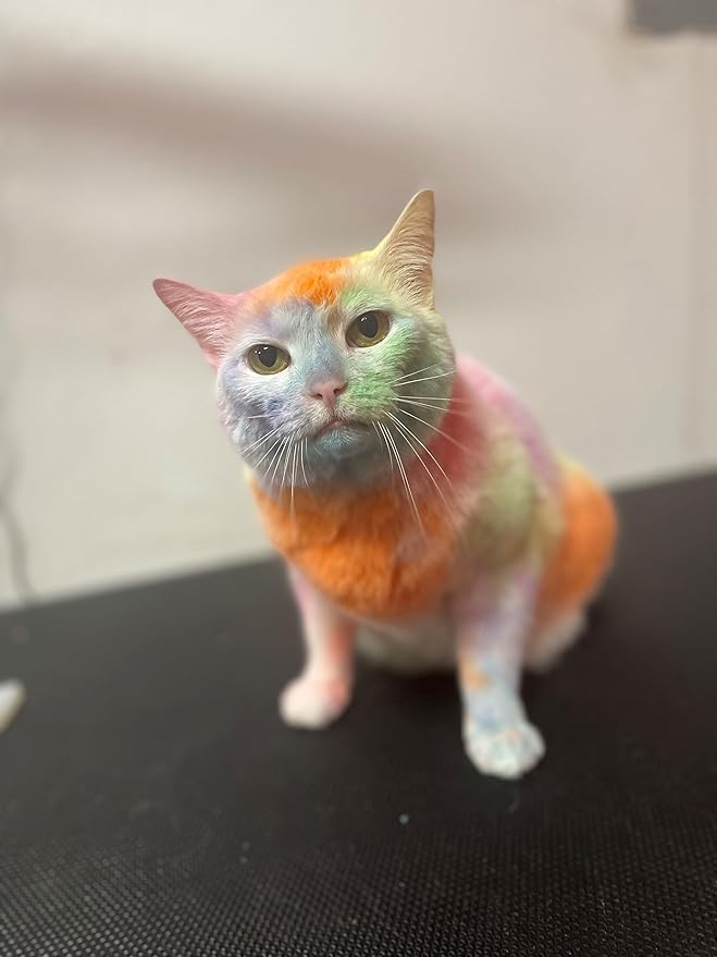 Magic Color Shampoos (Orange). Semi-Permanent Pet Hair Coloring Shampoo, Safe and Gentle Ammonia and Paraben Free Hair Dye Shampoo, Non-Toxic Coloring Shampoo for All Pets Can be Bathed.