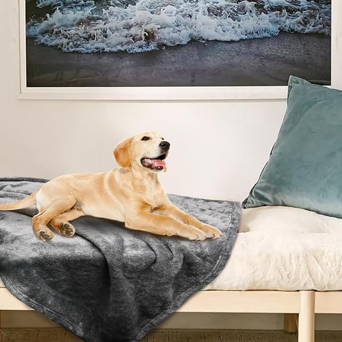 Onarway Dog Blanket Washable for Puppy: 4 Packs Dog Blankets 28”x20” - Fluffy Soft Small Throw for Cat Puppy Kitten Dogs - Fleece Pet Blankets for Bed Sofa Car and Indoor - Grey and Khaki