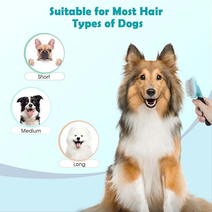 Slicker Brush, PETPAWJOY Dog Brush Gently Cleaning Pin Brush for Shedding Dog Hair Brush for Small Dogs Puppy Yorkie Poodle Rabbits Cats