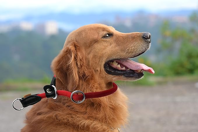Braided Rope Collar, Training Dog Collar, Round Martingale Collar, Slip Collar with Adjustable Stopper and Slidable Stop Ring - Ideal for Large Dogs (L(1/2") - 20" Long, Red)