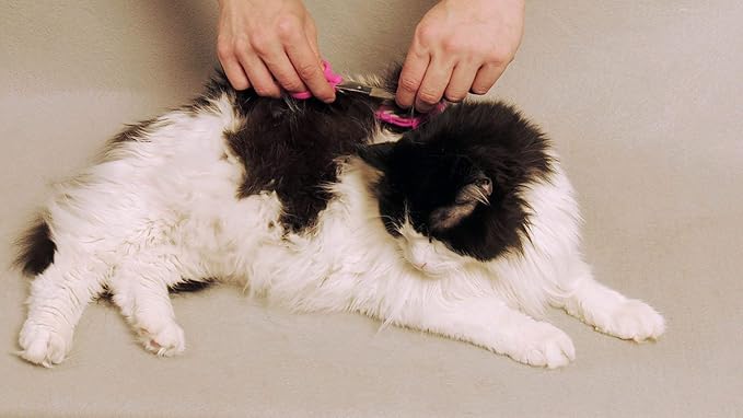No Buzz Clipper + Dematting Comb by Scaredy Cut Silent Home Pet Grooming Kit, Pink, Right-Handed