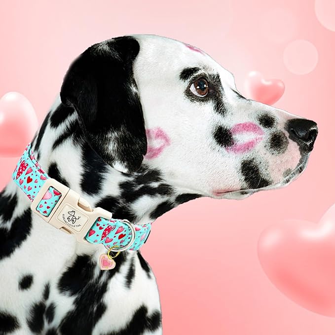 Elegant little tail Valentine's Day Dog Collar-Cute Pink Heart Dog Collar for Medium Dogs, Female or Male Adjustable Cotton Pet Collar with Quick Release Buckle for Small Medium Large Dogs