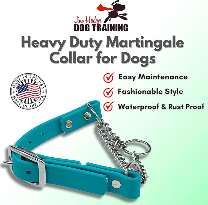 Martingale Collar for Dogs, Biothane, Stainless Steel Hardware, No Pull, Made in The USA, Professional Grade, Small, Teal