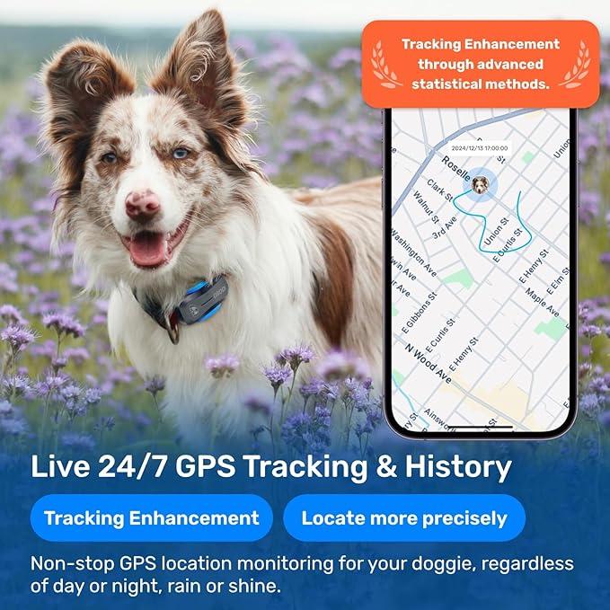 AI GPS Tracker for Dogs (30lbs+), Real Time Location and AI Vet Health Management, Electronic Fence, Waterproof, iOS and Android Universal(Black)