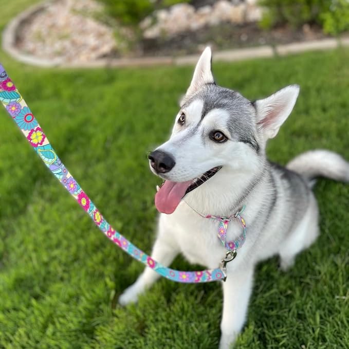 Lucky Love Dog Martingale Collar and Leash Set, Premium No Slip Martingale Collar for Large Dogs, Great for Whippets, Greyhounds, and More (Caroline, Large - Combo)