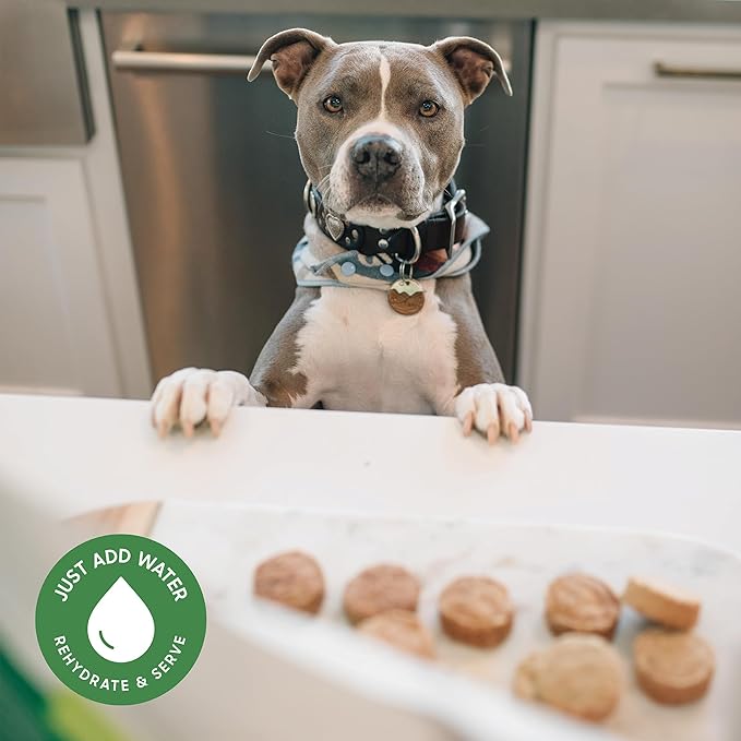 Smallbatch Pets Freeze-Dried Premium Raw Food Diet for Dogs, Beef Recipe, 14 oz, Made in The USA, Organic Produce, Humanely Raised Meat, Hydrate and Serve Patties, Single Source Protein, Healthy