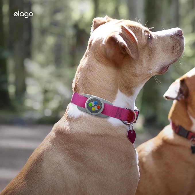 elago Pet Collar W5 Case Compatible with Apple AirTag - Drop Protection Keychain, Cute Design (Track Dogs, Keys, Backpacks, Purses) Tracking Device Not Included (Light Grey)