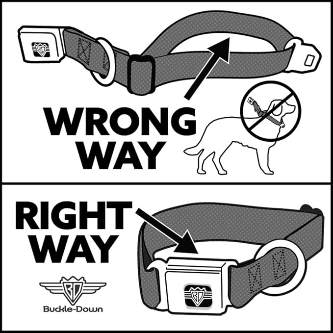 Buckle-Down DC-WXM040-S Seatbelt Dog Collar, Small, X-Men Cyclops Utility Strap Blue/Gold/Black/Red