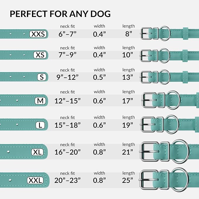 CollarDirect Rolled Leather Dog Collar, Soft Padded Round Puppy Collar, Handmade Genuine Leather Collar Dog Small Large Cat Collars 13 Colors (11-14 Inch, Mint Green Smooth)