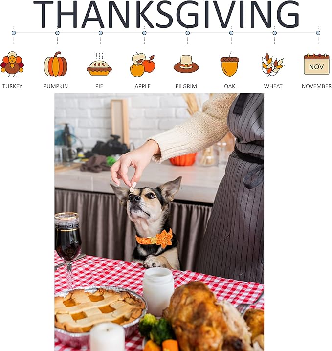 Unique style paws Halloween& Dog Collar with Flower Tie Pumpkin Cotton Collar Adjustable Puppy Collar Best Thanksgiving Gift for Small Medium Large Dogs-Turkey & Pumpkin Theme-XS