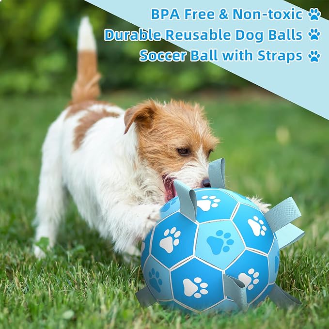 QDAN Dog Toys Balls Dog Soccer Ball with Straps, Dog Balls for Tug of War, Interactive Dog Toys, Dog Birthday Gifts, Durable Dog Water Toy for Small Medium Dogs(6 Inch)