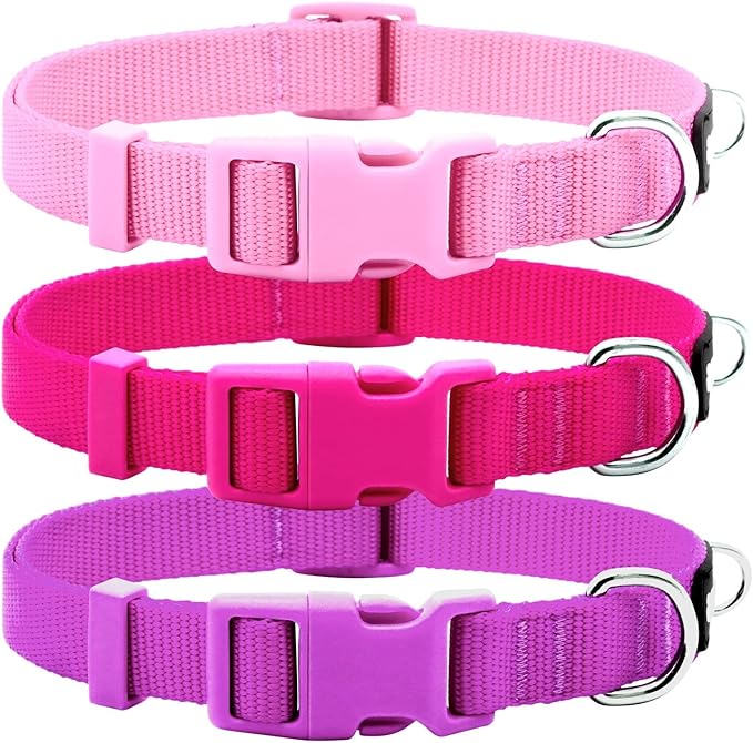 azuza 3 Pack Dog Collars Comfortable and Adjustable Nylon Dog Collars for Puppy Small Dogs, XS (8-12inch),Pink, Hot Pink and Purple