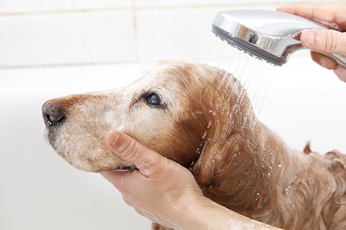 Pet Silk Hypoallergenic Shampoo, Free of Dyes and Fragrances, Specially Designed for Pet's with Sensitive Skin, Infused with Keratin, Achieve a Strong, Healthy & Smooth Coat for Your pet! (1 GAL)