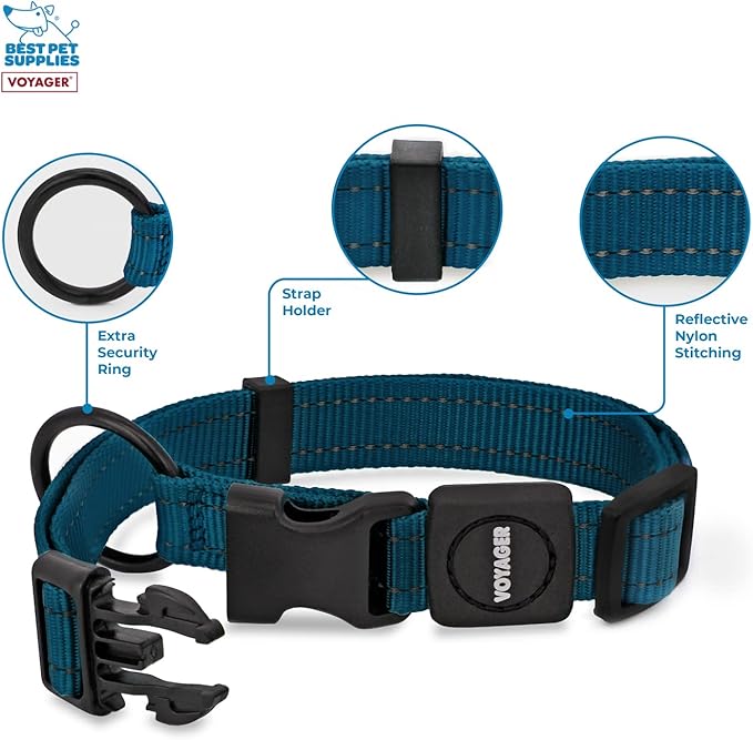 Best Pet Supplies Reflective Dog Collar with Adjustable Length, Heavy-Duty Buckle, and Strong Leash D-Ring, Training, Walking, Jogging Accessory for Small, Medium, and Large Breeds - Blue, M