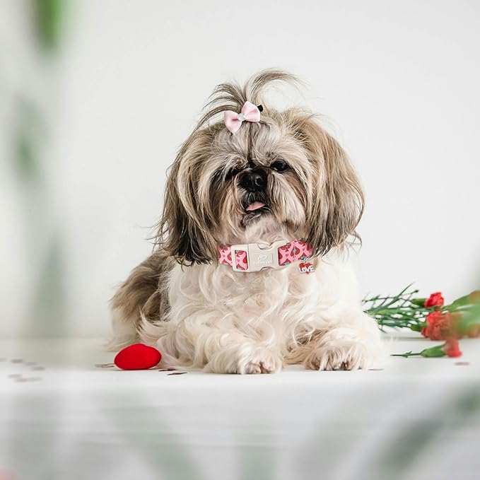 Valentine's Day Dog Collar - Cute Pink Valentines Dog Collar Girl Boy Durable Adjustable Spade Heart Pattern Charm Dog Collars for Small Medium Large Dogs XS