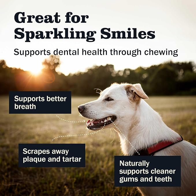 Redbarn Pet Products All Natural 4-5" Bully Sticks for Small & Medium Dogs - Healthy Long Lasting Chews Variety Party Pack - 100% Beef Single Ingredient Low Odor Rawhide Free - 12oz Bag