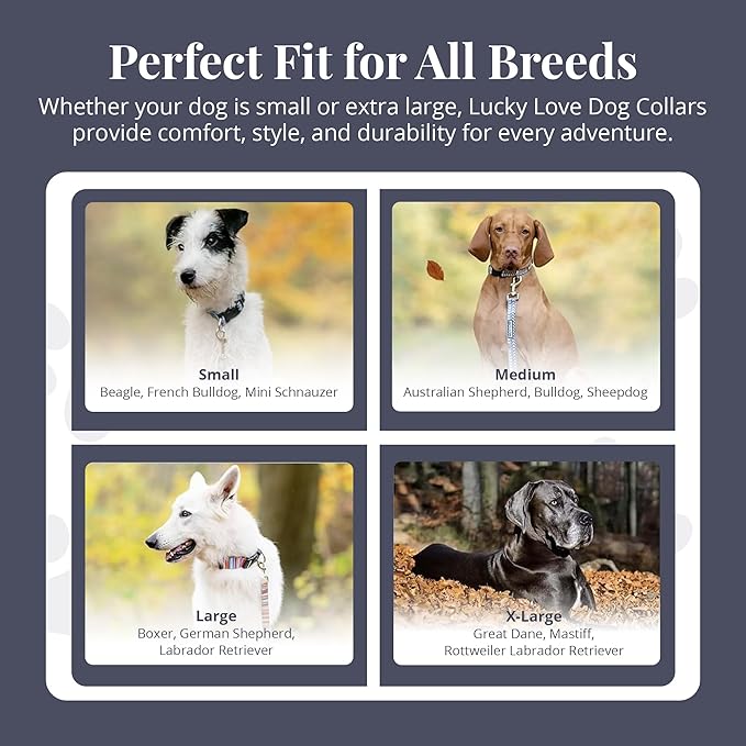 Lucky Love Dog Martingale Dog Collar - Adjustable, No-Slip, Durable, & Soft Webbing Dog Collar for Male and Female Dogs Ideal for Training & Walking - Stylish Blackbird Pattern, Small Size