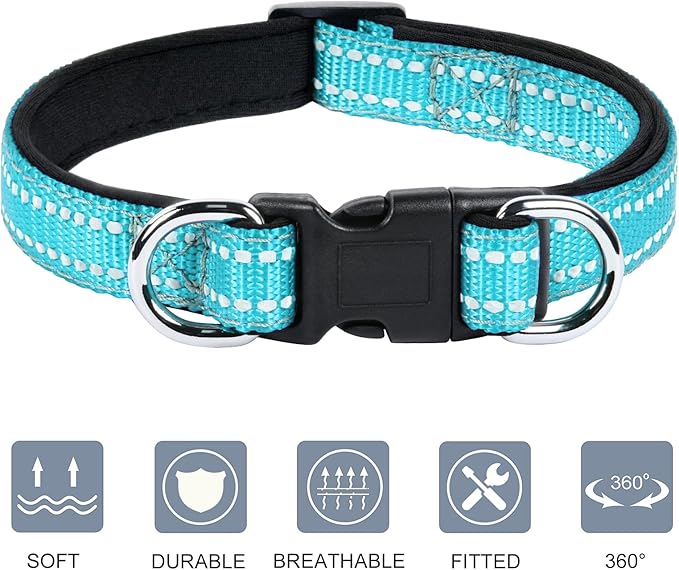 AUAUY Reflective Nylon Dog Collars, Adjustable Classic Pet Collars with Soft Neoprene Padding, Double Security Dual D-Ring and Quick Release Buckle for Small Puppy, Medium and Large Dogs (Lake Blue-L)