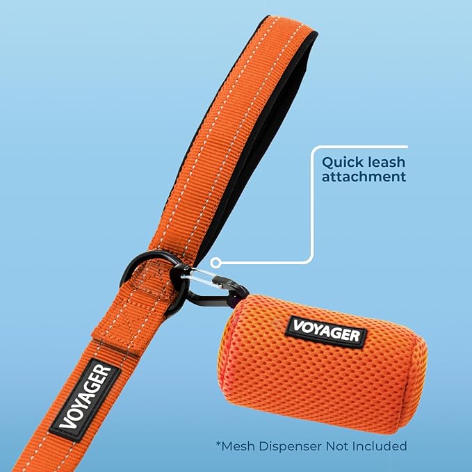 Voyager Reflective Dog Leash with Neoprene Handle, 5ft Long, Supports Small, Medium, and Large Breed Puppies, Cute and Heavy Duty for Walking, Running, and Training - Orange (Leash), S