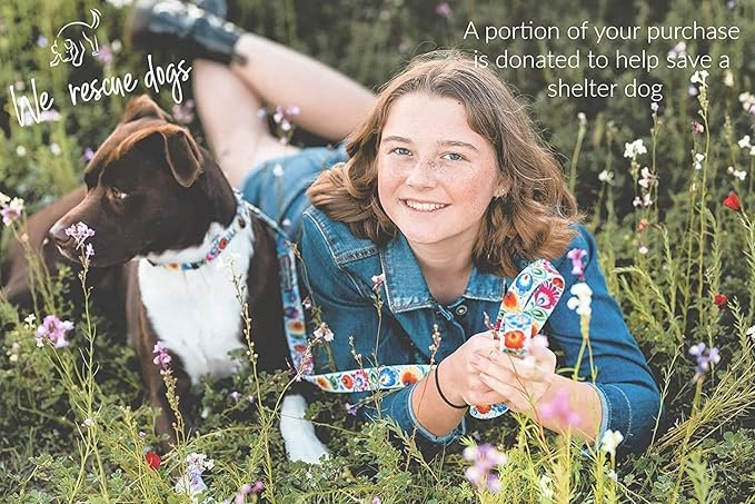 Lucky Love Dog Martingale Collar and Leash Set, Premium No Slip Collar and Leash Set, Vivid Floral Martingale Dog Collar, Great for Whippets, Greyhounds, and More (Ladybird, Large - Combo)