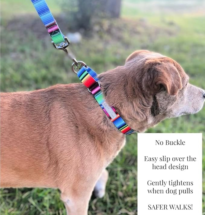 Lucky Love Dog Martingale Collar, Premium No Slip Collar, Colorful Striped Martingale Dog Collar for Small Dogs, Great for Whippets, Greyhounds, and More (Small, Nacho)