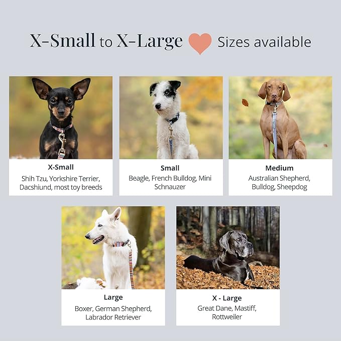 Lucky Love Dog - Adjustable Dog Collar with Easy Click Buckle for Small to Large Dogs, Durable, & Comfortable Collar for Male & Female Dogs, Pet Collar for Puppies & Adult Dogs - Ladybird, X-Small