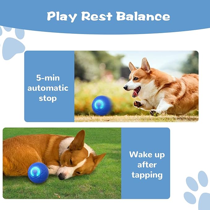 2PCS Shaky Ball Toy for Dogs,Pet Bounce Ball ,Vibrating Dog Ball for Dogs, Automatic Moving Dog Toy Ball,Bouncing Ball for Dogs Interactive Dog Ball,Automatic Moving Dog Toy Ball shaking(Blue+Orange)
