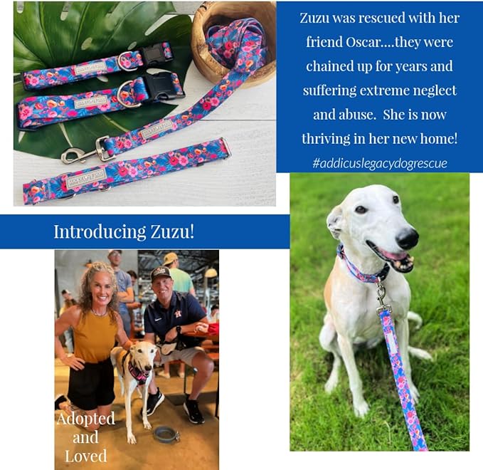 Lucky Love Dog Wide Dog Collar - Adjustable, Durable, Soft Webbing, & Comfortable 1.5 inch Wide Collar for Dogs Male and Female - in Zuzu Pattern with Strong Buckle, Medium Size