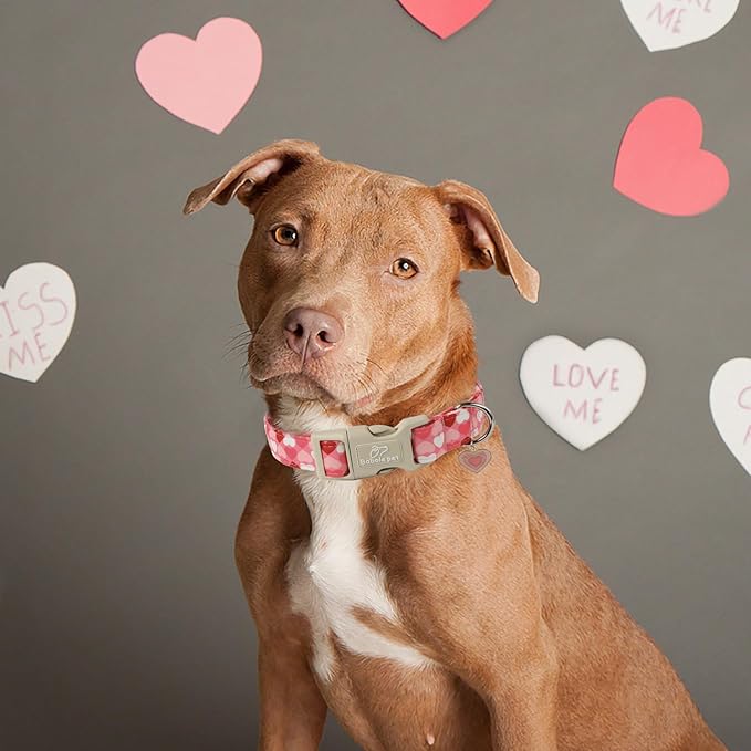 Valentine's Day Dog Collar - Cute Pink Valentines Dog Collar Girl Boy Durable Adjustable Love Heart Pattern Charm Dog Collars for Small Medium Large Dogs XS