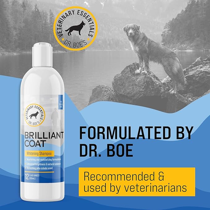 Dr. Boe's Veterinary Essentials BrilliantCoat Whitening Shampoo & Conditioner for Dogs & Cats – with Colloidal Oatmeal, Piña Colada Scent - Brightens & Hydrates Coat, Moisturizes Skin - 12 Fl Oz.