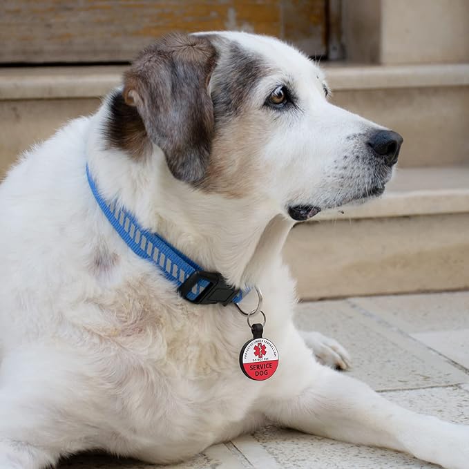 MYLUCKYTAG Silicone QR Code Service Dog Tag - Pet Online Profile - Scan QR Receive Instant Pet Location Alert Email