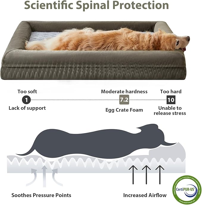 WNPETHOME Washable Dog Beds Large Sized Dog, XXXXL Dog Bed, Orthopedic Dog Sofa Bed with Removable & Waterproof Cover, Extra Large Dog Bed with Bolster Sides for Sleeping, Giant Dog Bed with Sides